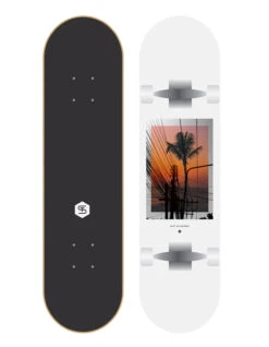 QUIKSILVER 8.25" THAIBES SKATEBOARD